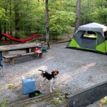 9 Kegiatan yang Bisa Dilakukan Saat Berkemah di Asheville
