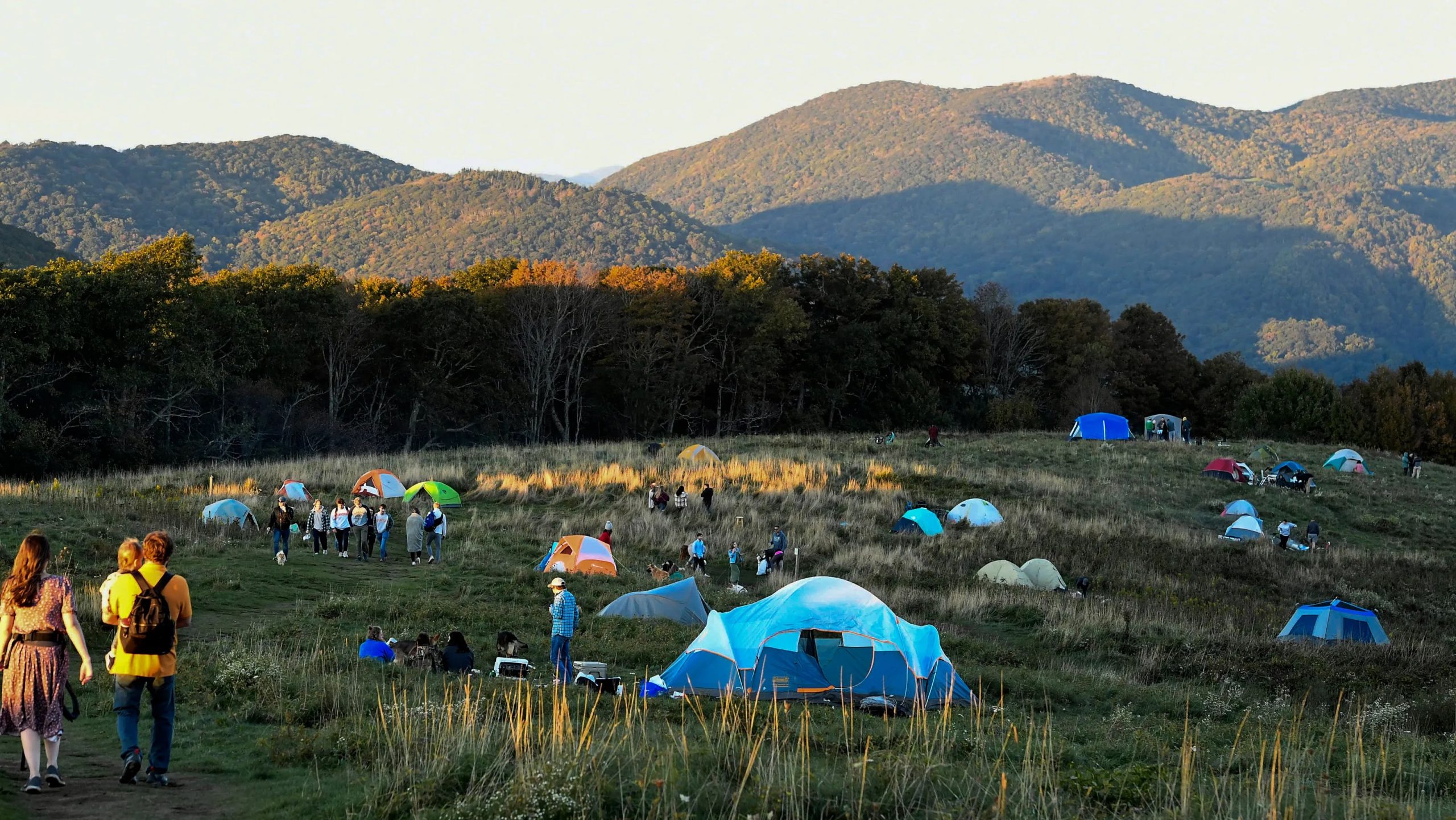 6 Tips Memilih Tenda Berkualitas Digunakan di Asheville, NC